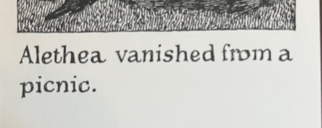 How Alethea vanished from the family&nbsp;picnic